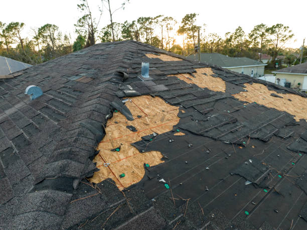 Best Asphalt Shingle Roofing  in Dayton, WA